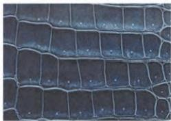 Hermes Leather Types-Porosus crocodile in shiny noir—symmetrical square scales, pore in each center, ultimate luxury for Himalaya Kelly.