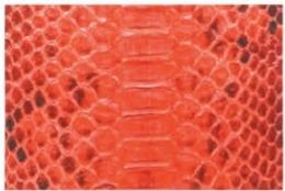 Hermes Leather Types-Reticulated python in natural gradient—light center, dark edges, visible scale overlap, used for limited-edition Herbags.