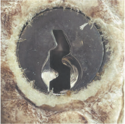 Authentic Birkin lock surface: smooth, flawless, premium metal finish