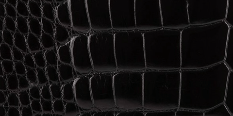 Chanel Porosus Crocodile