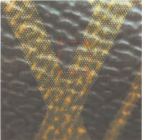 Authentic Louis Vuitton monogram canvas 'LV' motif micro detail, correct dot pattern highlighted with red box