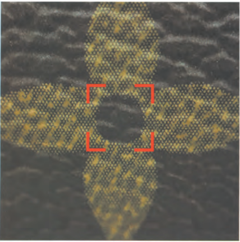 Authentic Louis Vuitton monogram canvas flower motif micro detail, correct dot pattern highlighted with red box