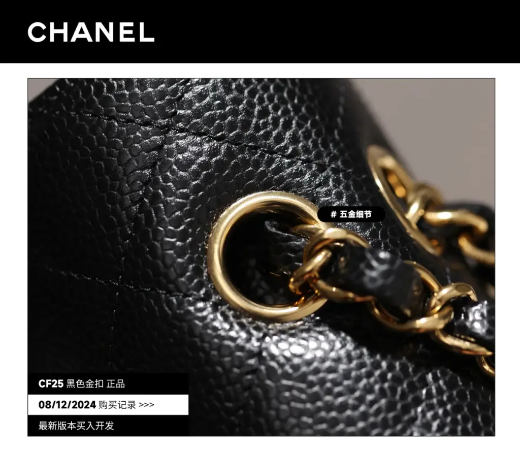 CF25 chain and top eyelet hardware close-up