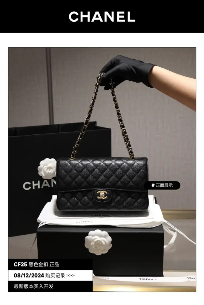 Chanel Classic Flap 25 black caviar upright studio front view