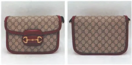 Chloe's front and back photographs of a Gucci Horsebit bag with both exterior outlines visible
