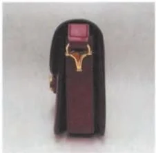 Side photograph of a Gucci bag showing the gusset and strap attachment