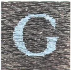 Macro reference of a printed G on Gucci black label fabric