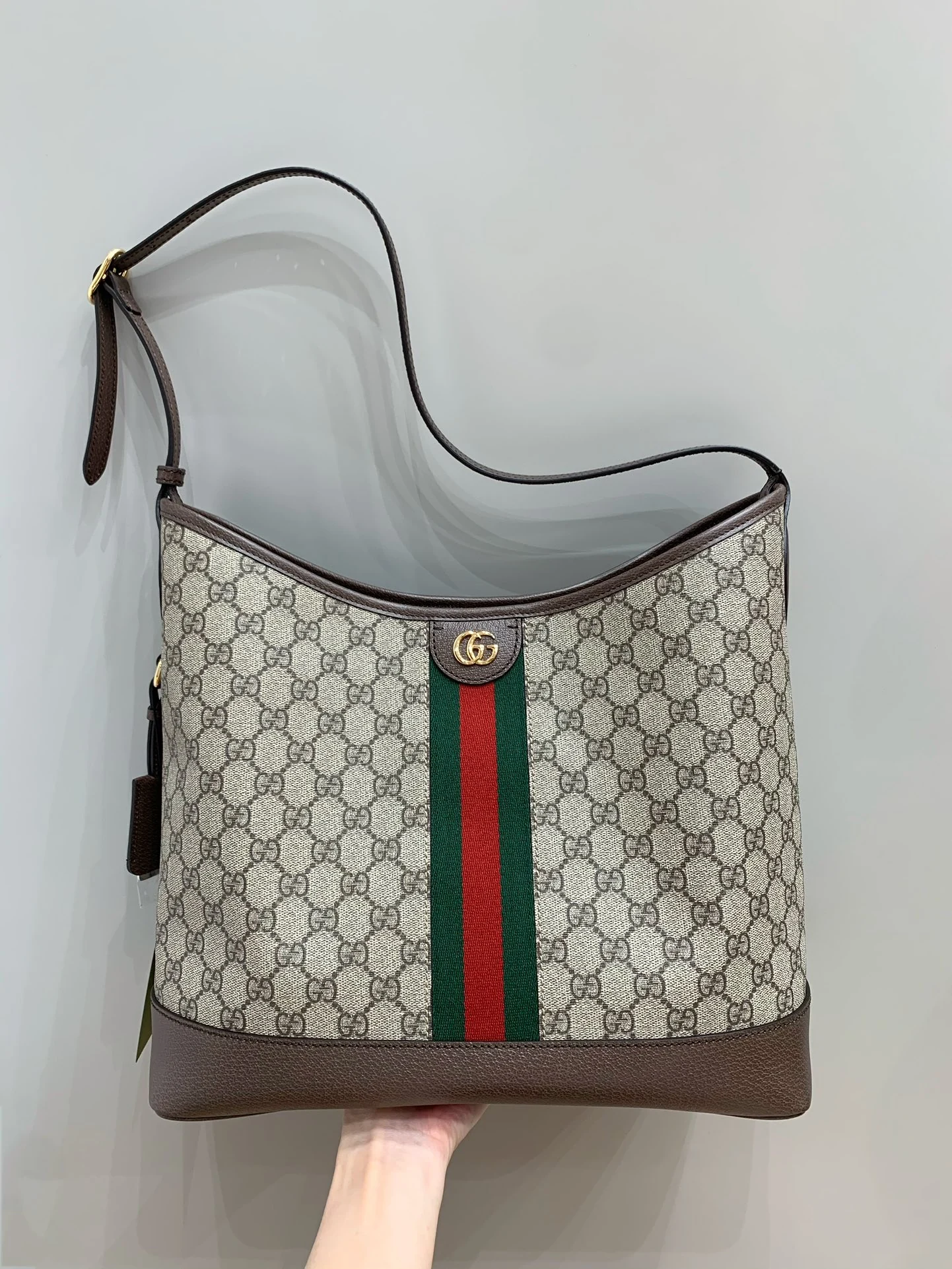 Gucci Ophidia hobo front with a curved top and broad brown base